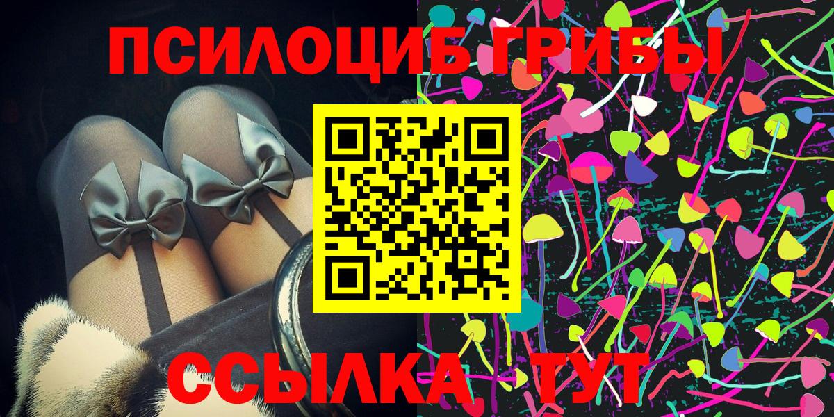 Сосновоборск  Псилоцибиновые грибы мицелий  Вход с VPN 